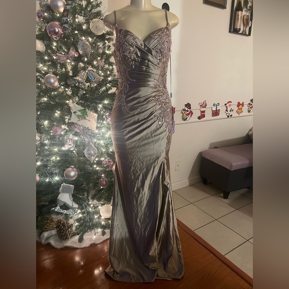 Elegant Embellished Evening Gown